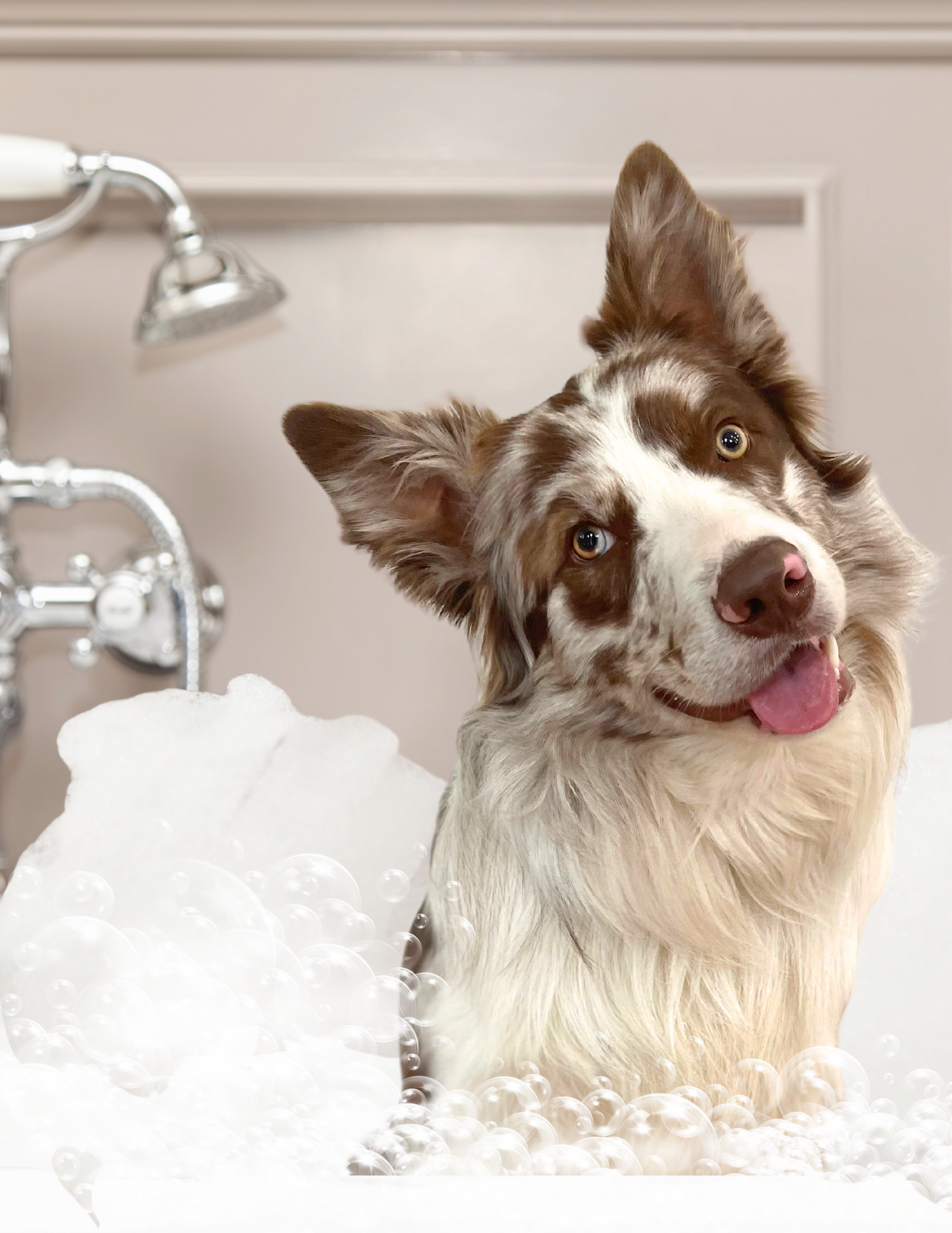 Puppy Dogs Soap Bars